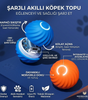 HachiWay - Hareketli Akıllı Köpek Oyun Topu