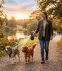 HachiWay Pro Çift Köpek Tasması